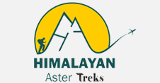 Himalayan Aster